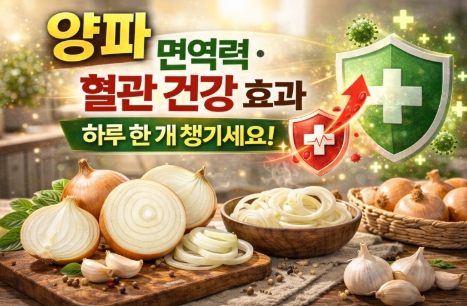 면역력에 좋은 양파의 성분