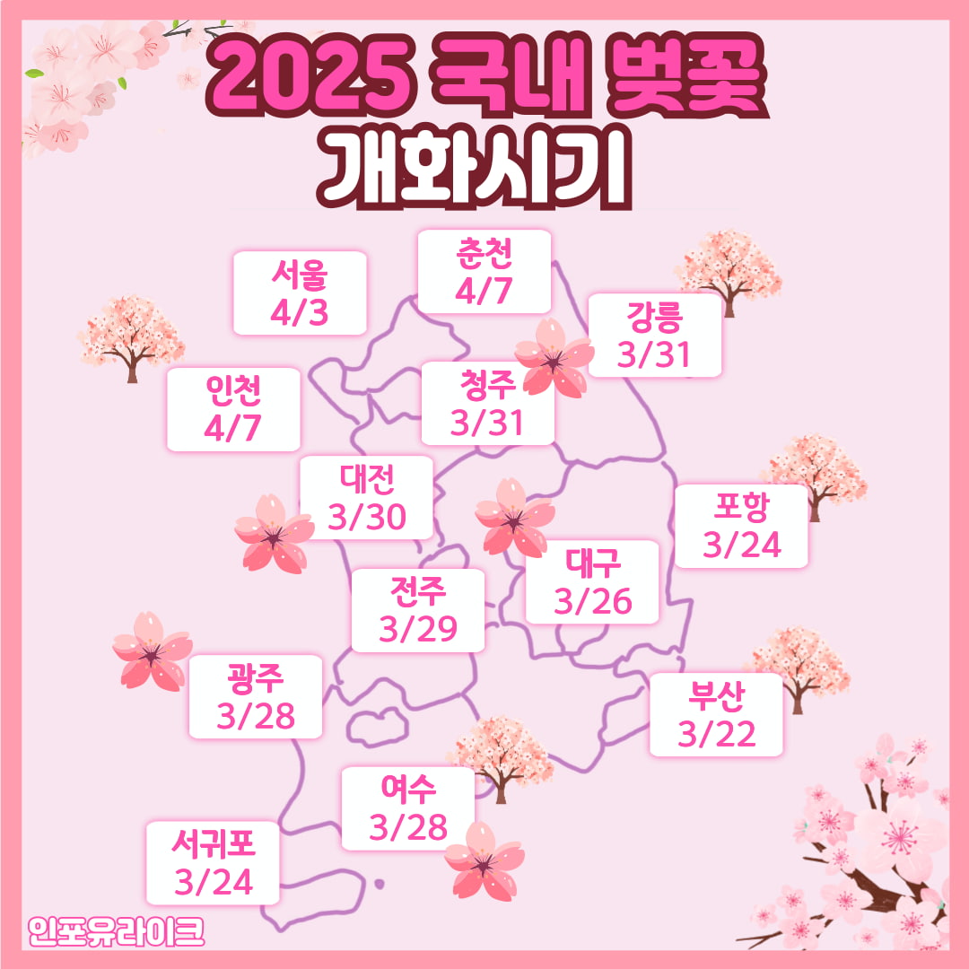 2025년 전국 벚꽃 개화시기 명소와 축제 정리