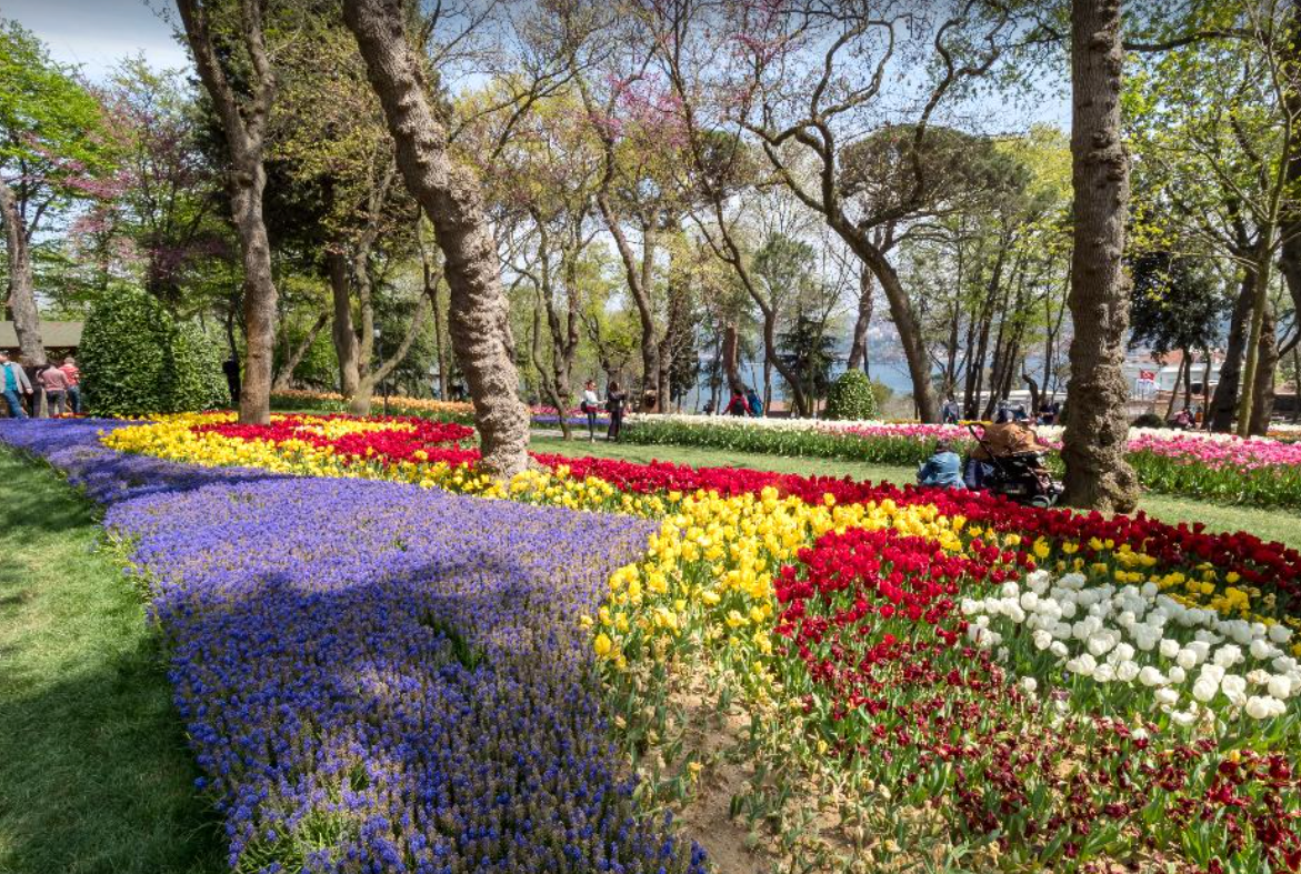 세계봄꽃여행지