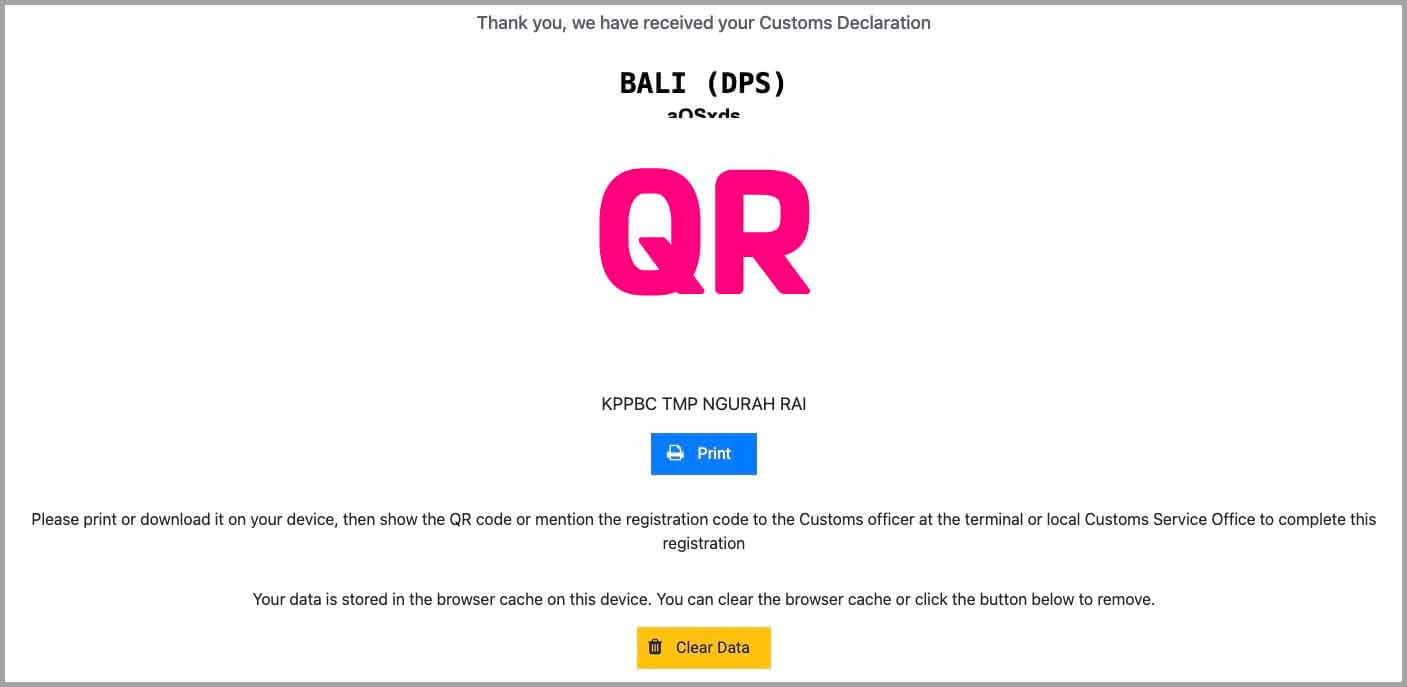 발리전자세관신고서