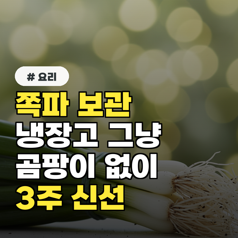 쪽파 보관, 냉장고에 그냥 넣으면 곰팡이! 3주 신선하게 지키는 법