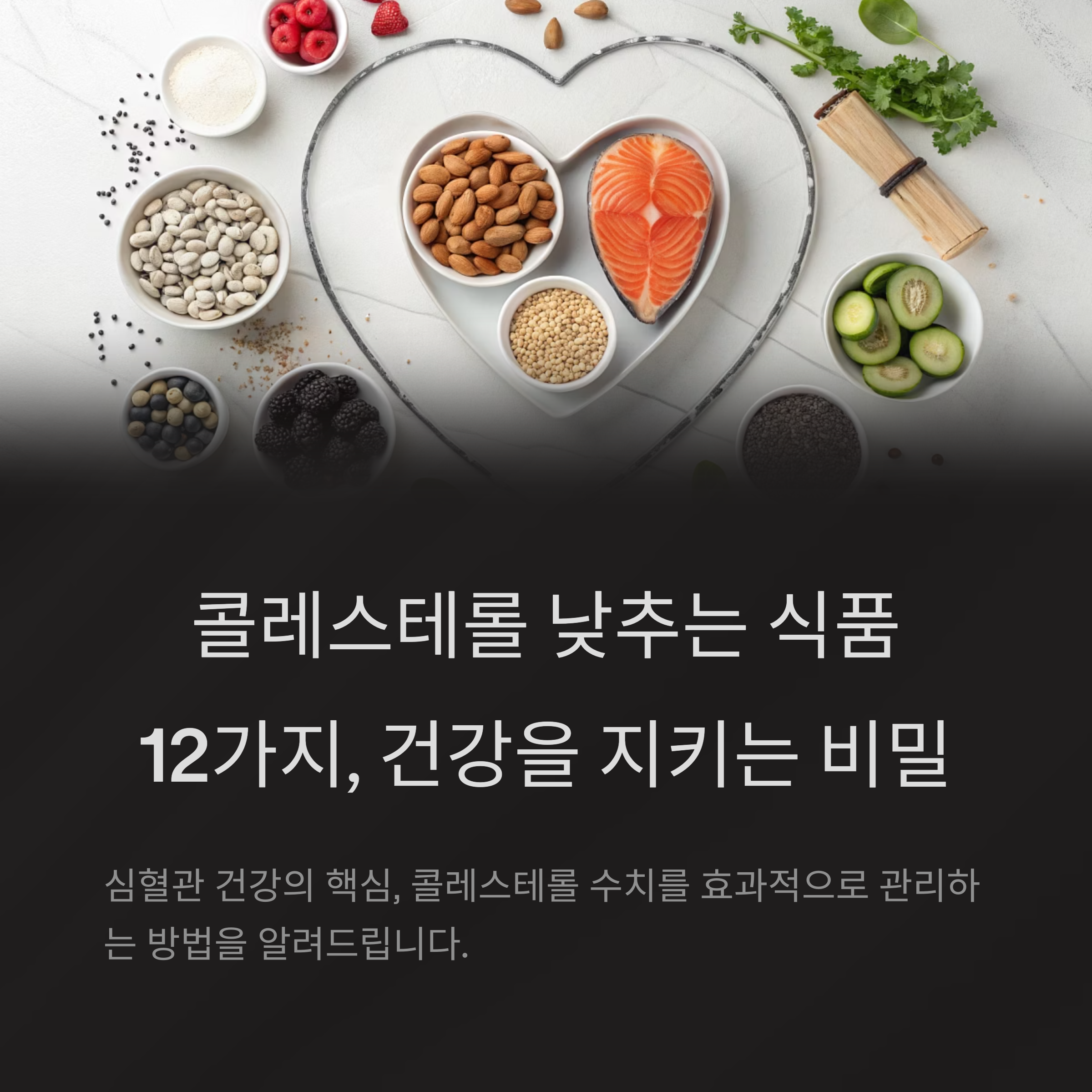콜레스테롤