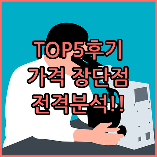 디 아이시스 호텔 TOP5 찐후기 가