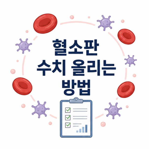 혈소판 수치 올리는 방법을 주제로 혈액 속 혈소판과 건강 관리를 표현한 교육용 이미지