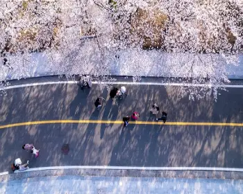 영암왕인문화축제_20