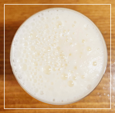 피에스타 맥시칸 라거