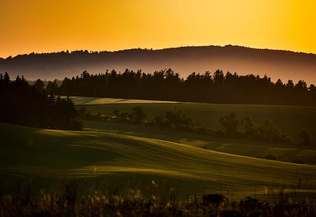 50대 자격증 추천 조경기능사 취득방법