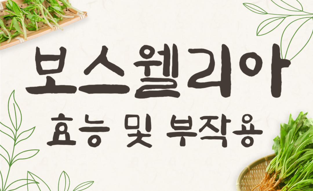 보스웰리아 관절 효능은 진짜일까? 부작용까지 완벽 정리