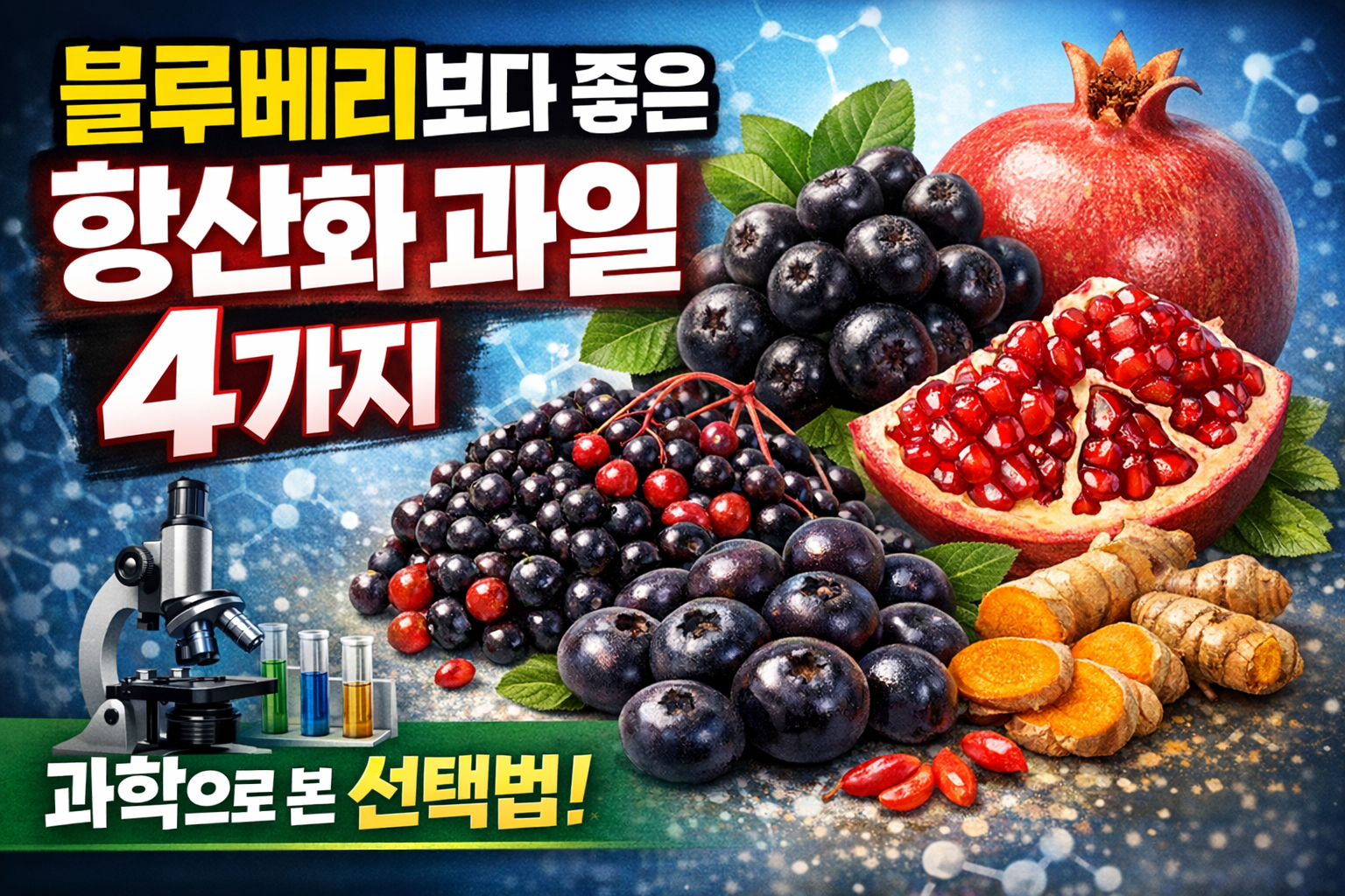 블루베리 등 항산화 과일의 올바른 섭취법과 주의점