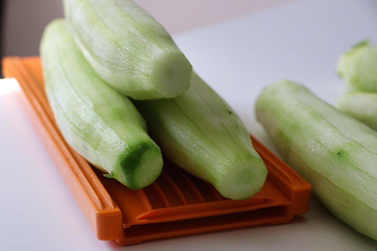 노각오이 재배법