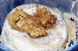 사사리의 카수 마르주 치즈 레스토랑, 이탈리아