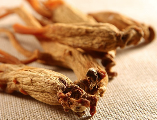 가장 많이 찾는 건강기능식품