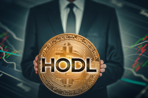 암호화폐 유행어 호들의 모든 것