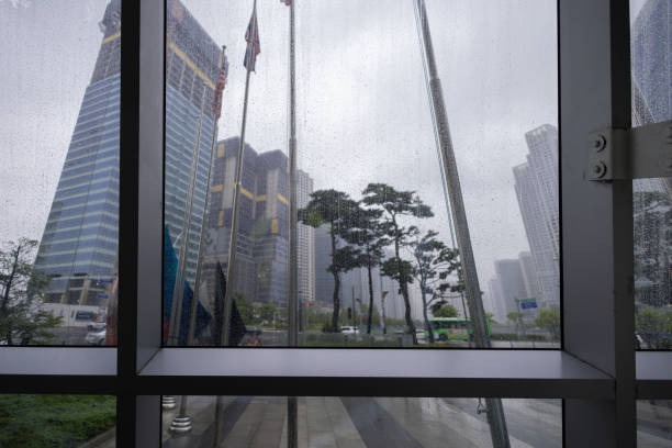 올해 장마철 기간