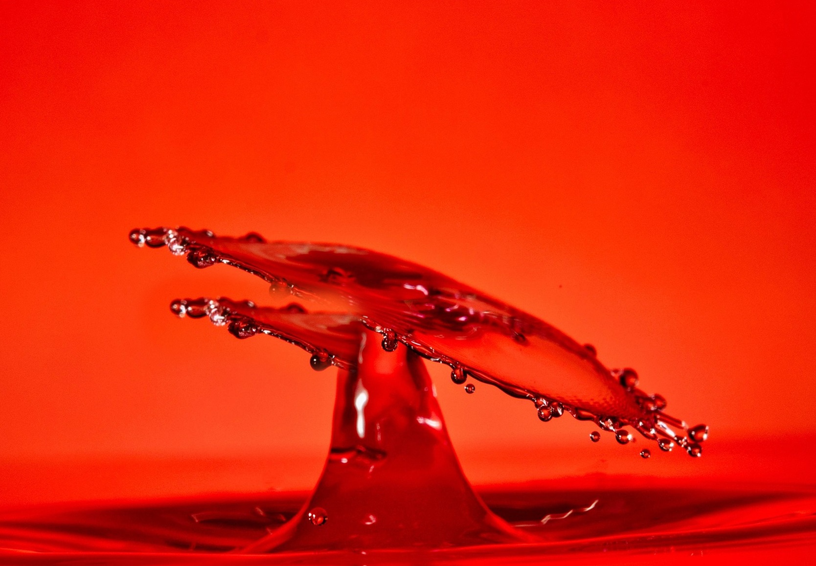 염증이 다시 올라갈 때 몸이 보내는 '위험 신호 5단계'