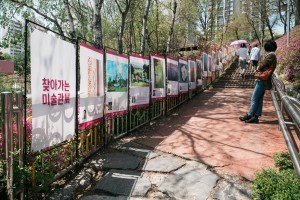 군포 철쭉축제