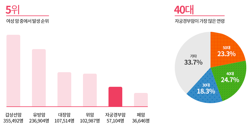 숫자와-그래프로-암발생순위를-표현한-사진