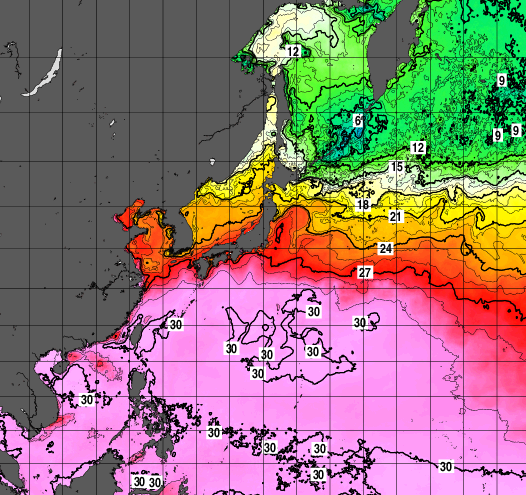 7월 20일 해수면 온도