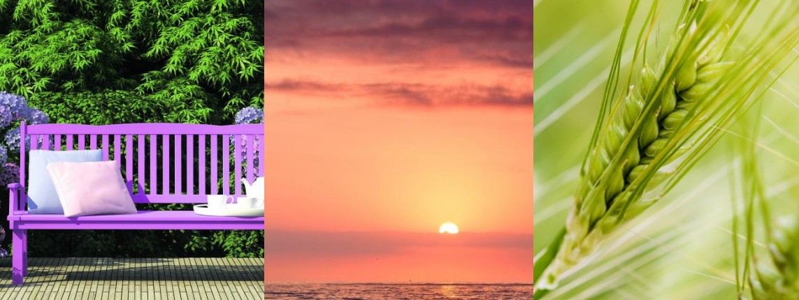 충청남도 논산시 재가장기요양기관 급여종류