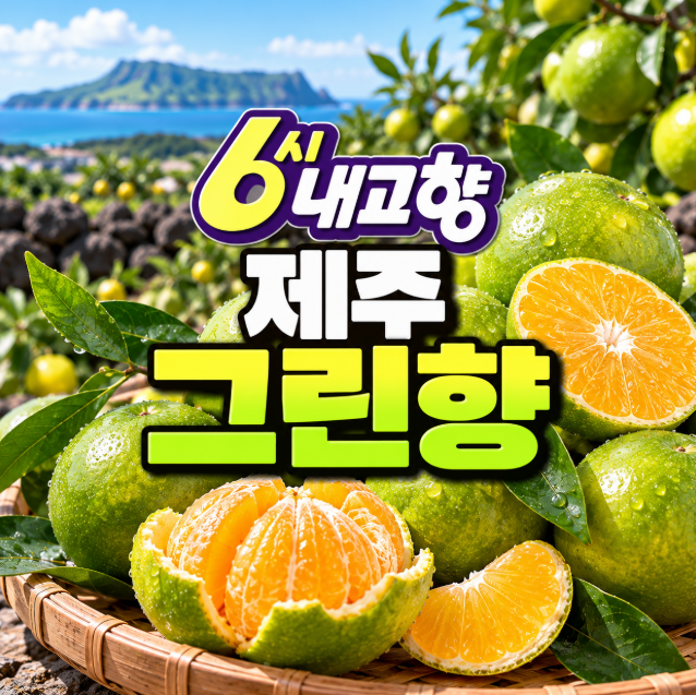 6시 내고향 제주 그린향 어디서 사나? 금동이네귤농장 주문&middot;수확체험 가격 정리