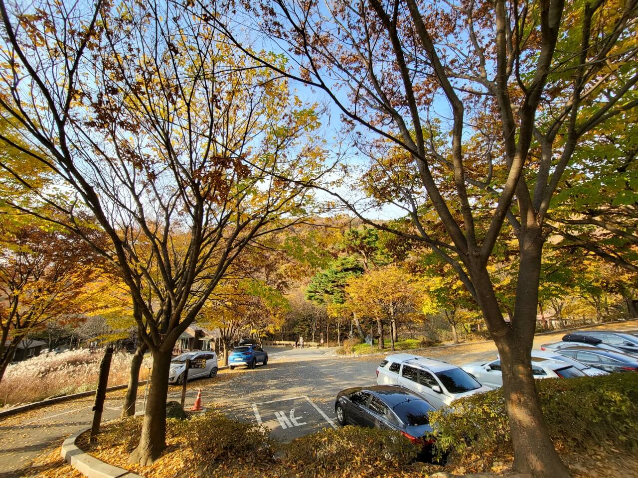 용인자연휴양림 풍경