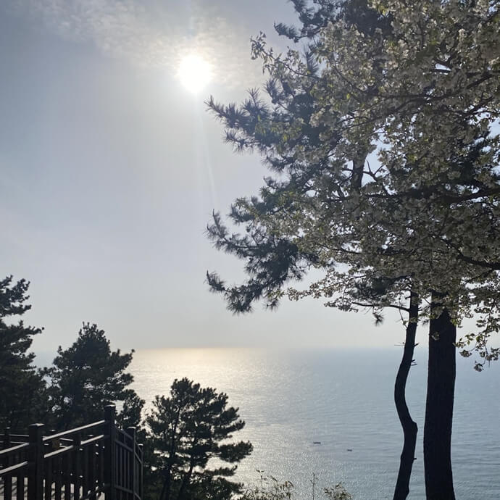 부산여행 해운대 달맞이길 전망대에서 바라본 부산 바다 풍경