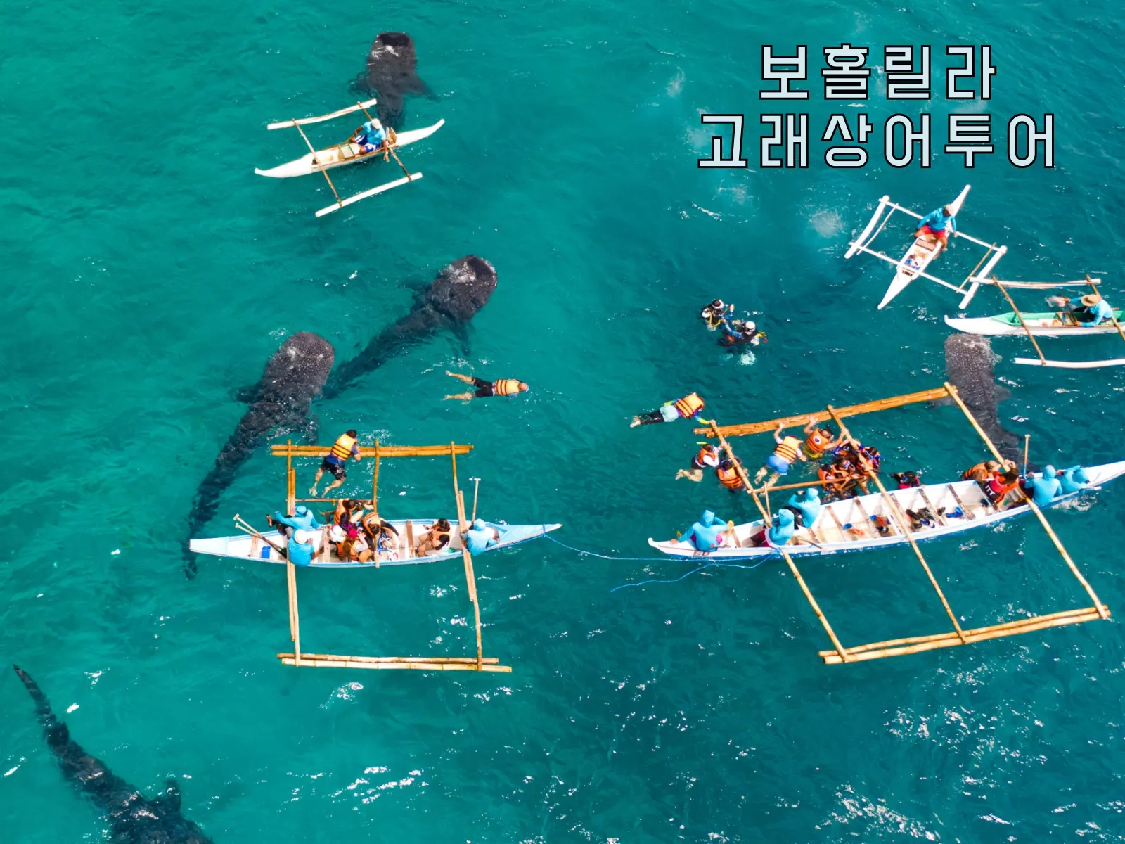 필리핀 보홀 여행 날씨 지도 자유여행 준비물_6
