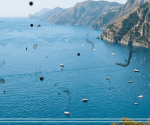 눈 검은것이떠다니는것