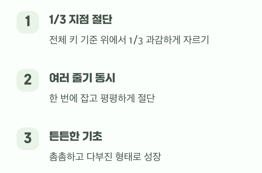 어떻게 잘라야 할까? (실전 가이드)