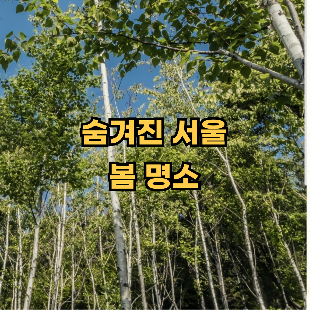 숨겨진 서울 봄 명소