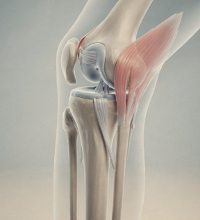 무릎에 물이 차는 증상