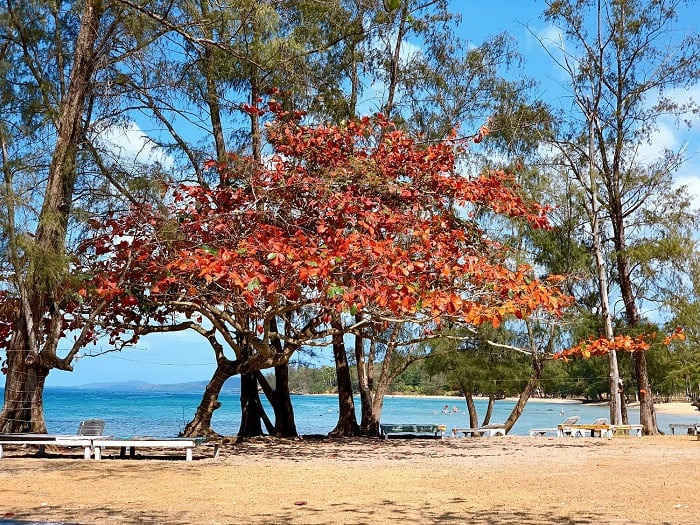 베트남 푸꾸옥 옹랑비치