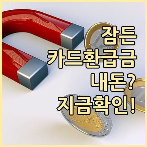 저소득층 카드 환급금 종류와 대상별 ..