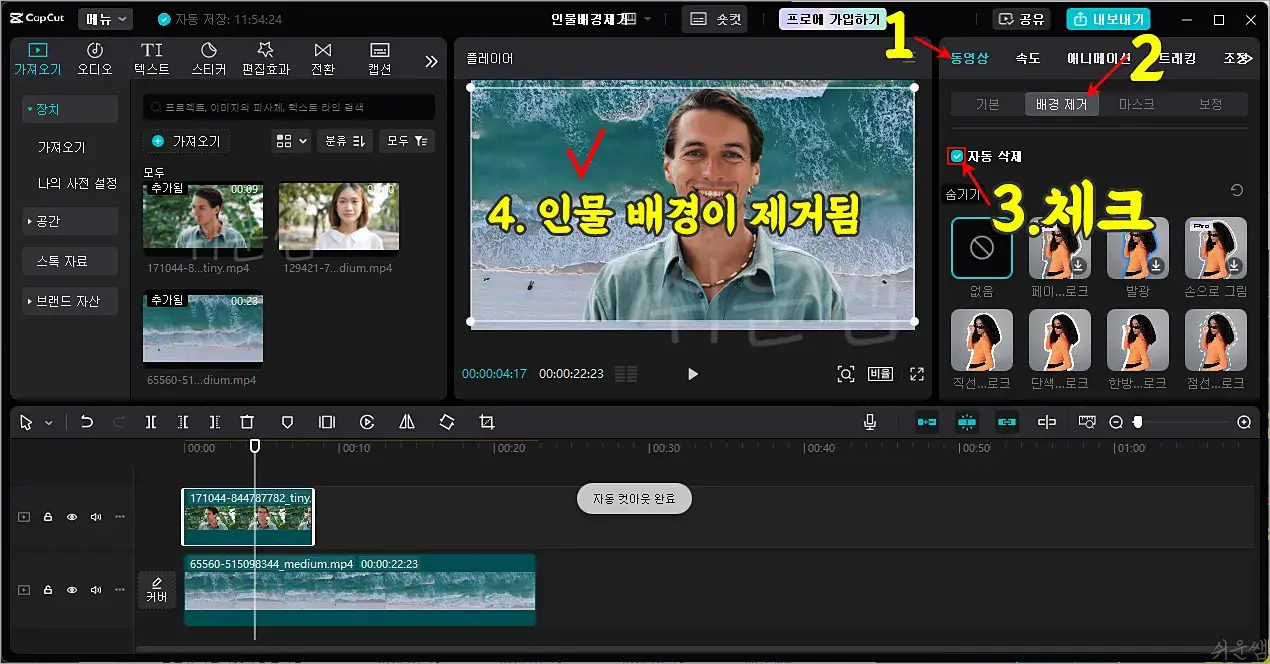 배경 제거 결과