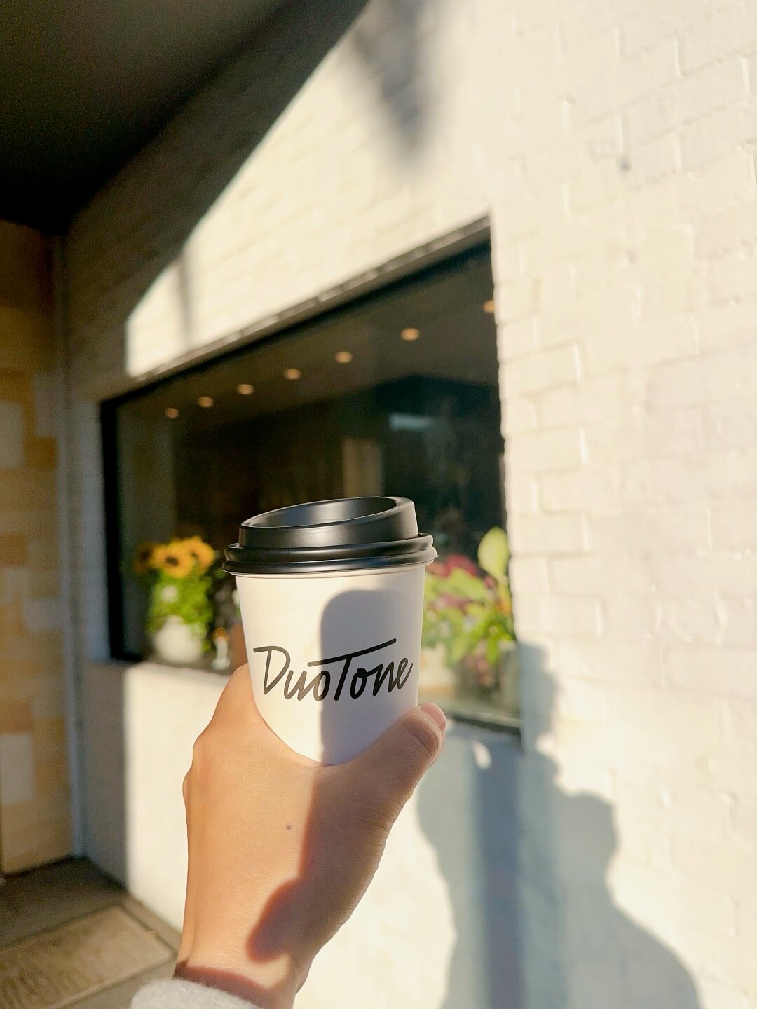 호주 퍼스 여행정보&amp;#44; 쿼카 로트네스트 섬&amp;#44; 칼바리 피나클스 투어