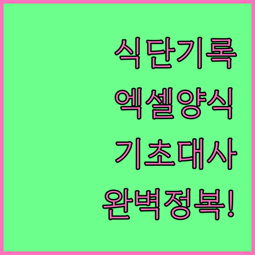 다이어트 식단 기록용 엑셀 양식 제작..