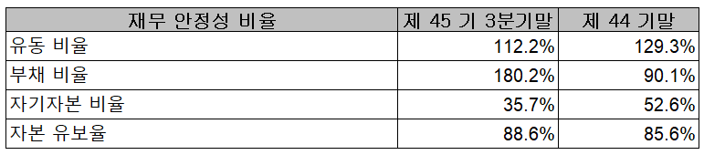 (주)뉴인텍 재무 안정성 비율