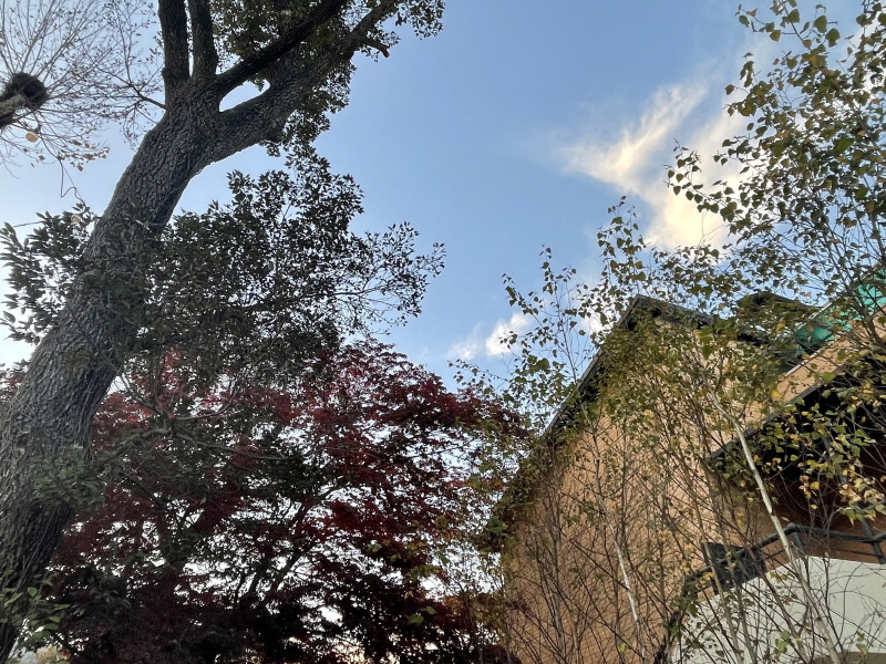 ํ์ด๊ทธ๋ผ์ด๋ ์ ๋นต์