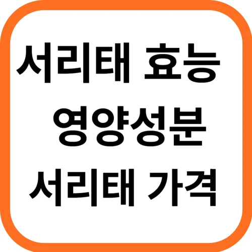 검정콩 서리태 효능 및 영양성분, 가격
