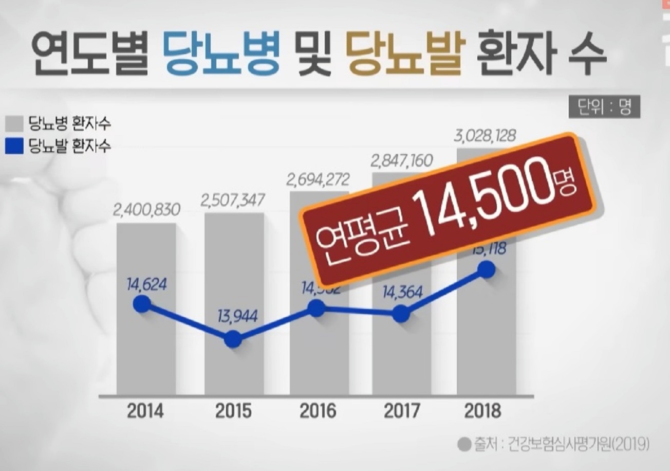 연도별-당뇨병-당뇨발-환자수
