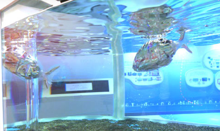 창원 과학체험관