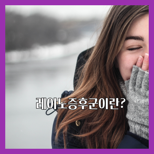 레이노증후군은 추위 또는 스트레스에 의해 손가락, 발가락, 귀, 코 등의 끝부분에 있는 소혈관이 좁아지면서 발생하는 질환입니다