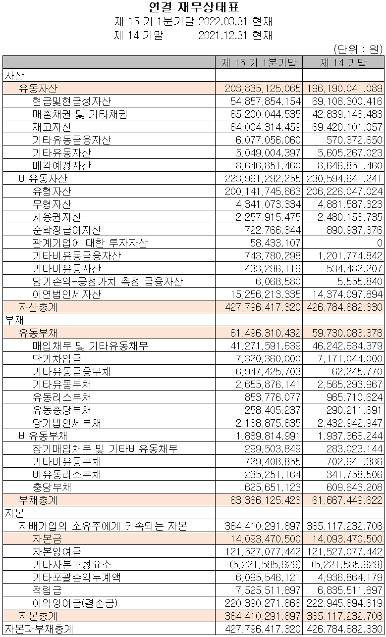 와이솔 - 재무 상태표