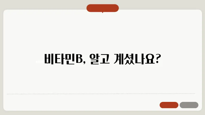 비타민B 하루 권장량