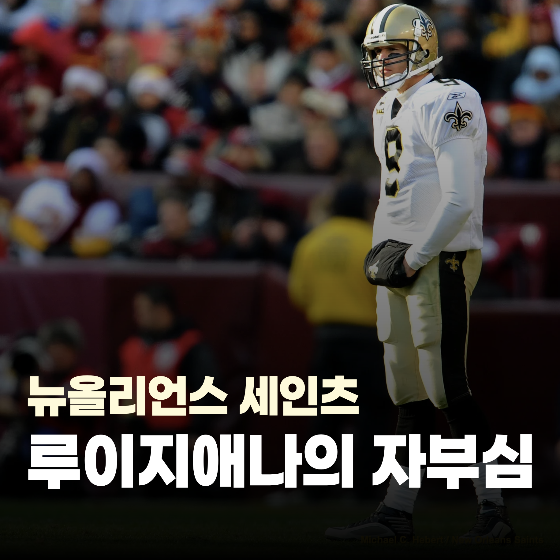 뉴올리언스 세인츠 루이지애나의 자부심