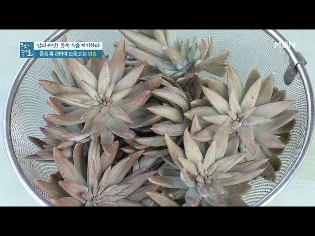 다양한 와송 섭취법