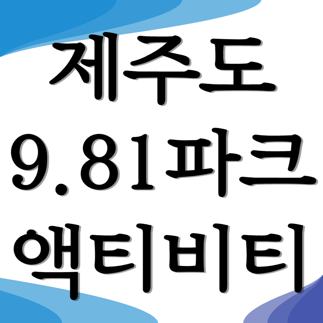 981파크 할인 제주도 카트체험 액티비티