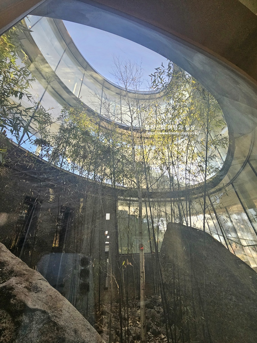 울산 미지의 카페 정원 예약 입장료 메뉴 가격 내부 후기