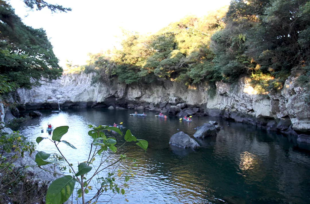 제주 올레길 5코스 남원 - 쇠소깍 올레 초보자를 위한 완벽 가이드