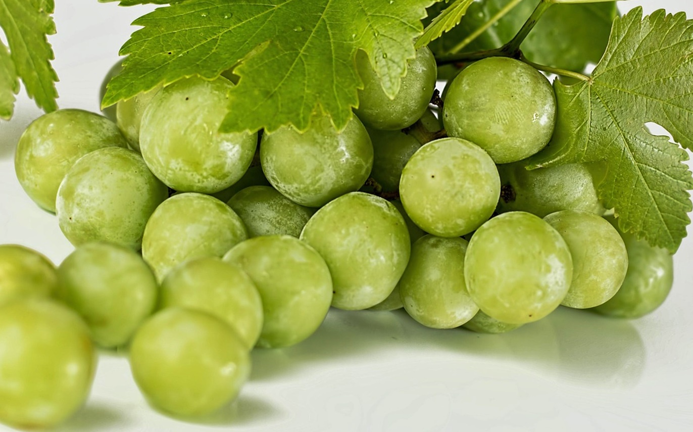 혈당 스파이크 케어 방법! 혈당을 급격히 올리는 음식 5가지!